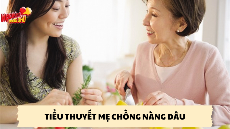 tiểu thuyết mẹ chồng nàng dâu